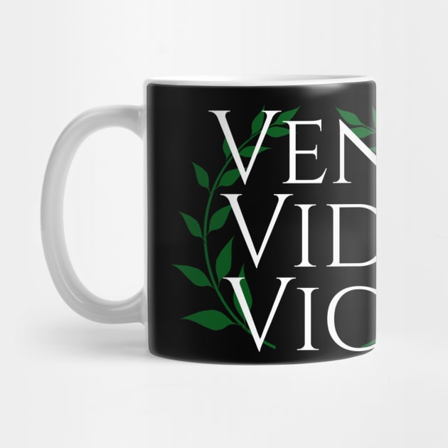 Veni Vidi Vici - I Came, I Saw, I Conquered - Roman History Julius Caesar Quote by Styr Designs